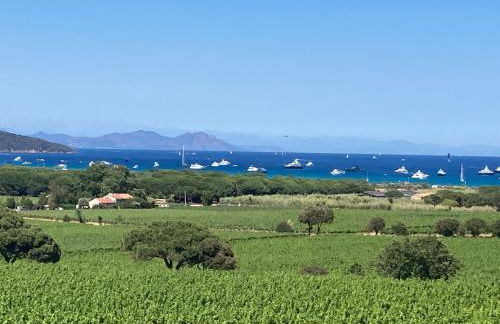 AzuRoMarin - Foto 69