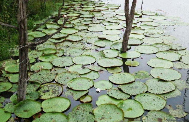 Escursione all'Incontro delle Acque + Visita di un villaggio aborigeno - Foto 2