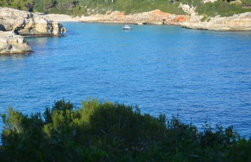 Finca Son Blat - Photo 62