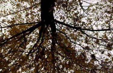 Vivi Milano B - Elegant & Bright 5-Bedroom Flexible Apartment Near Fair with Free Parking - Foto 30