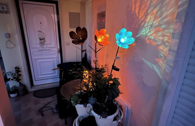 Sun And Ocean House With 2 Bathrooms - Photo 22