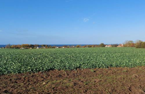 Ferienwohnung auf Insel Poel - Foto 40
