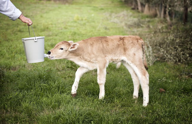 Borgo San Faustino Country Relais and Spa - Foto 30