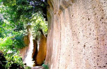 Heart House Maremma - Foto 39