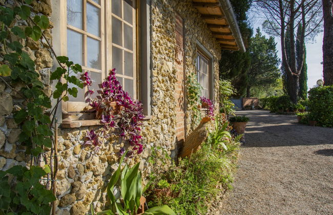 Il Crocino II - Foto 23