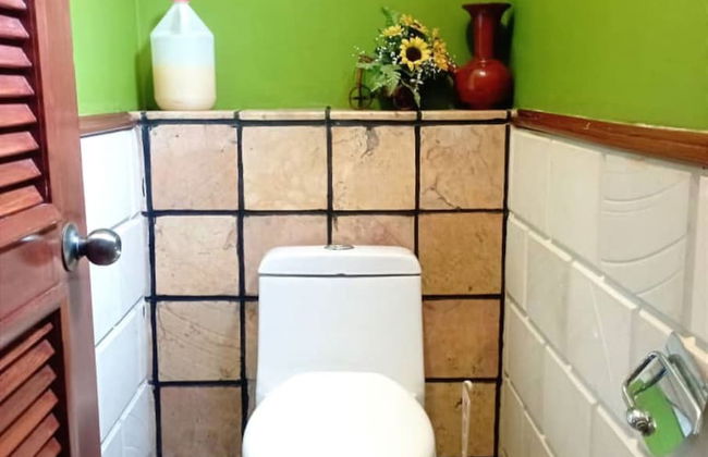 Alpine LXPD Water Chalet - Photo 61