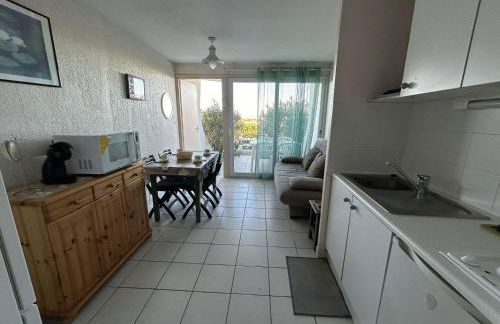 Port Camargue, T2 climatisé, terrasse, parking, animaux admis - FR-1-250-219 - Photo 13