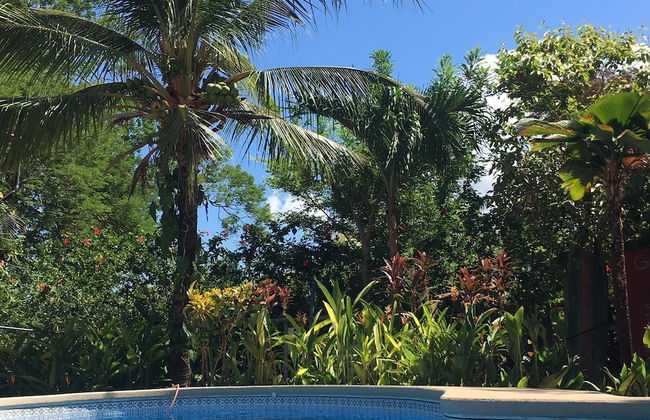 Apartamentos Massai - Photo 80