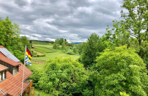 Wohnung #6 mit Balkon in ruhiger aber zentrale Lage - Stadtbus vor der Tür! - Foto 15