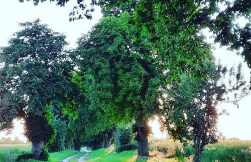 VILLA MON BIJOU _ OG_Fewo - Foto 18