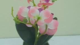 Casa CATALUÑA 14 - Foto 2