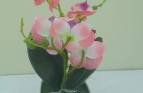 Casa CATALUÑA 14 - Foto 2