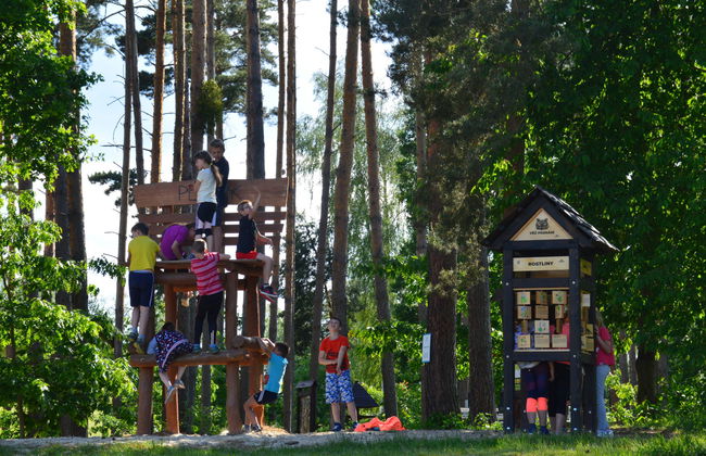 4 bedroom House in Hradec Kralove with garden - Photo 27