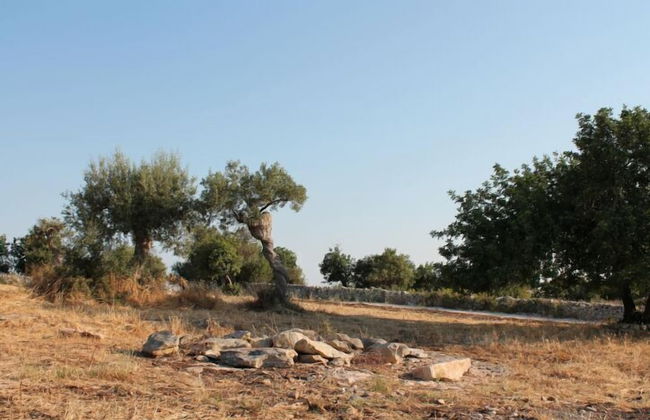 Tenuta Zannafondo - Photo 25