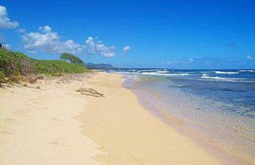 Kauai Beach Resort #1317 - Foto 16