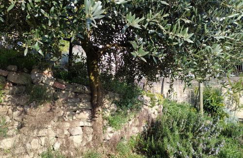 Casa Mantel Panoramic view in Langhe - Foto 65