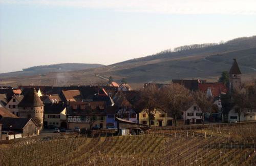 Plein Sud vue sur les Vosges et le vignoble - Foto 32