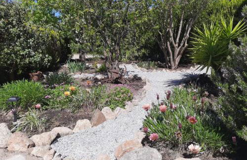 Bright New Garden - Foto 23