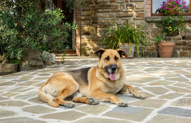 Country House Villa Nigro - Foto 34