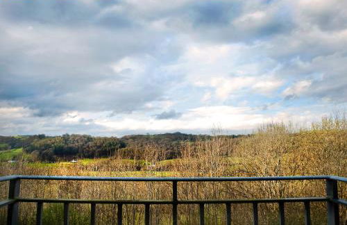 Bryn Melyn Farm Cottages - Foto 65