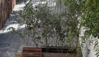 Casa Atlântico Carvalhal Comporta, apartamento piscina aquecida - Foto 4