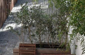Casa Atlântico Carvalhal Comporta, apartamento piscina aquecida - Foto 4