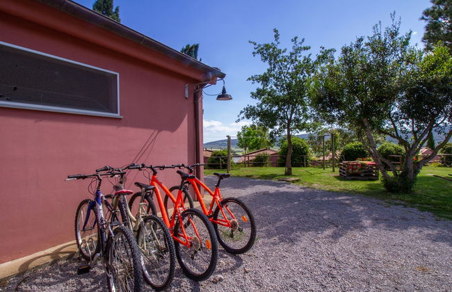 Agriturismo Torribasse - Foto 12