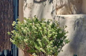 Sitges Hill Retreats-Masia Nur 22 bedrooms divided over 9 houses for max 44 guests - Foto 5