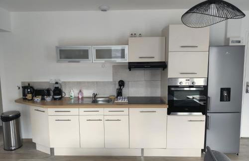 Appartement T3 PLUME Hyper centre d'ERNÉE - Foto 10