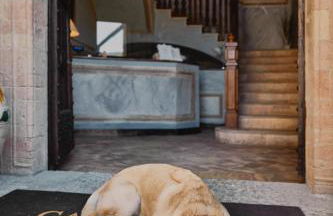 Castello di Baccaresca - Foto 28