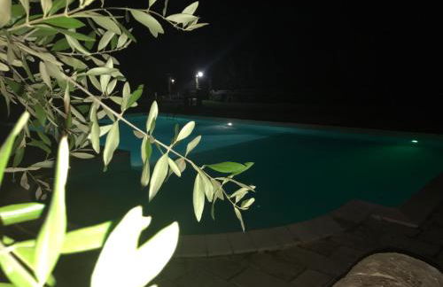 Mythos Holidays & Events - Photo 61