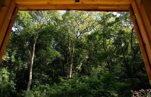 Little Hollows Glamping - Foto 35