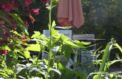 SchlossparkFerienwohnungen Rheinsberg mit Garten - Foto 80