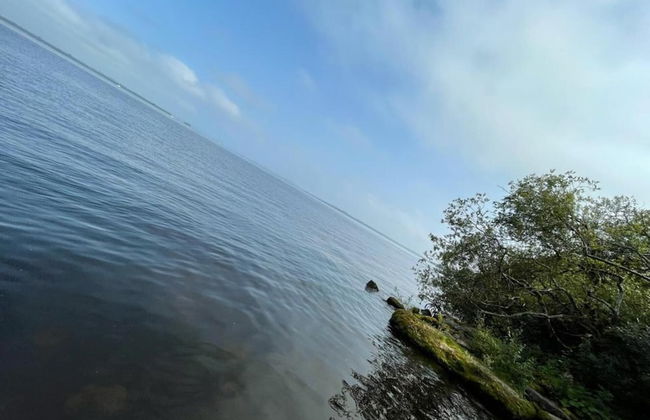 Beautiful 3-bed Cottage in Tipperary - Photo 10