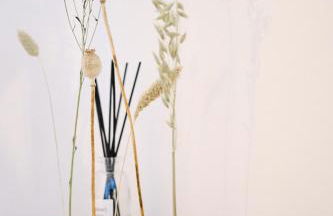 Park Avenue Apartments - Dom mit Stil - Küche - Parkplatz - WLAN - 65 Zoll TV - NETFLIX - Foto 66