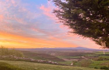 Fresno Vista - Photo 41