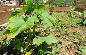 Villa Anasa Residence - Foto 72