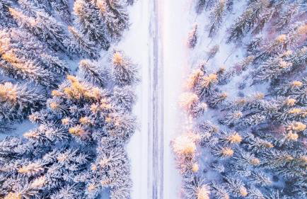 Italianway - Belvedere 28 - Genziana - Foto 96