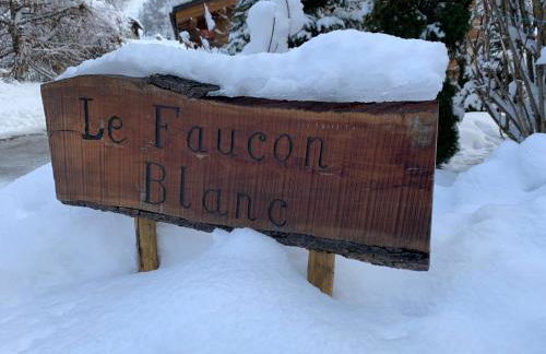 Chalet Megeve, idéal familles proche ski et centre village - Foto 58