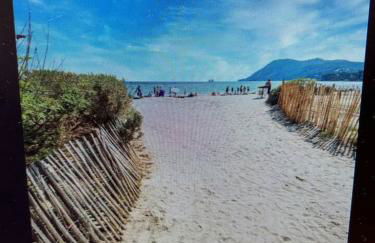 pin rollan beach - Photo 13