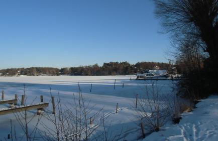 Ferienhaus am Schwielochsee - Foto 49