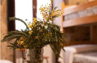 La pallota de san cristobal1 - Foto 26