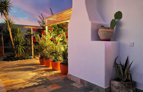 Olas de Conil - Foto 44