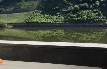 Altes Fachwerkhaus Mutter Mosel - Foto 14