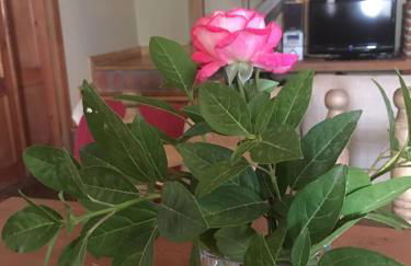 Casa Rural Jim Morrison - Foto 44