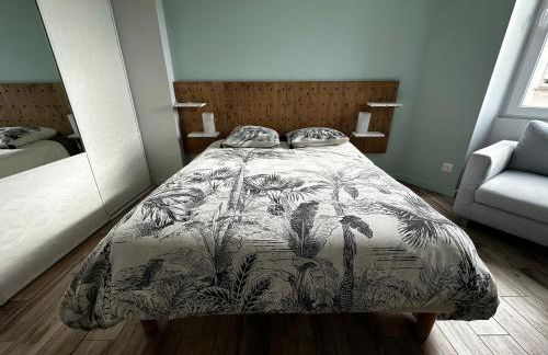 Appart du faubourg - Foto 42