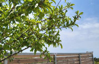 Angelos Stone Cottage - Foto 25