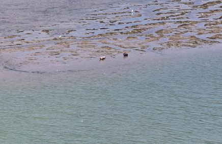 maison de pécheur typique presqu’île Saint Jacut Sur Mer - Foto 31
