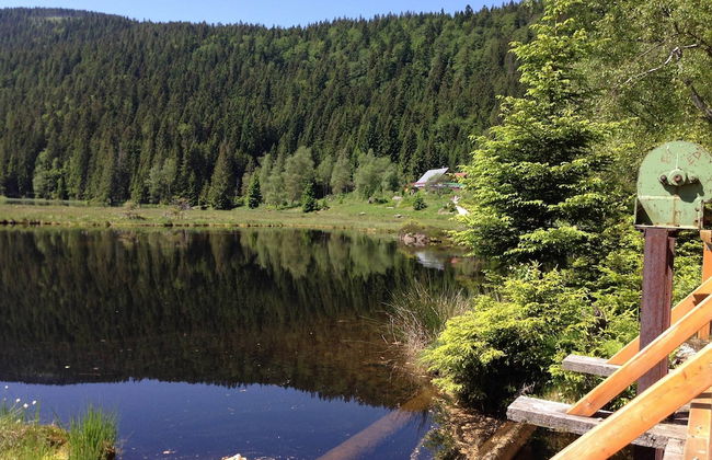 Ferienhaus in Bayern mit Waldblick - Photo 20