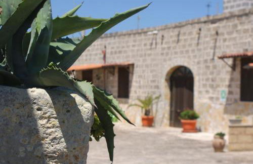 Residence Conchiglia San Giovanni - Foto 9